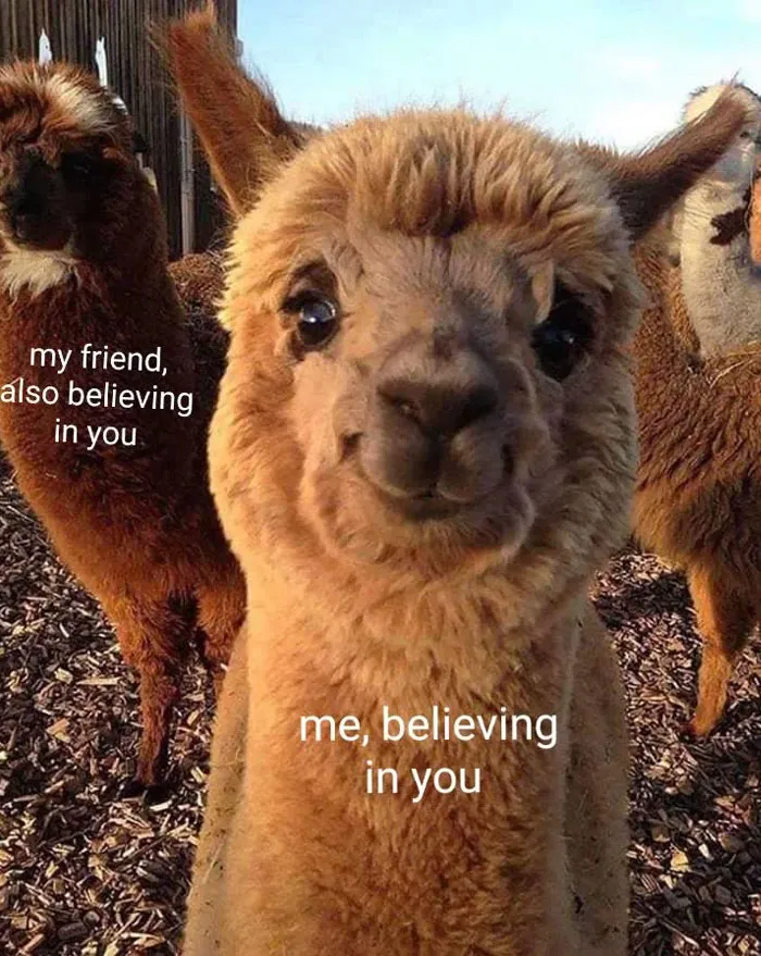  Llamas Ar in Full Support Mode