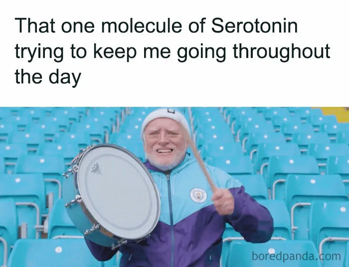 Serotonin Is What Keeps You Going