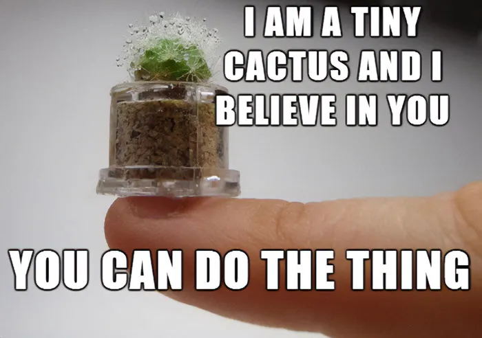 Tiny cactus "You can do it" meme with motivational text on someone's finger.