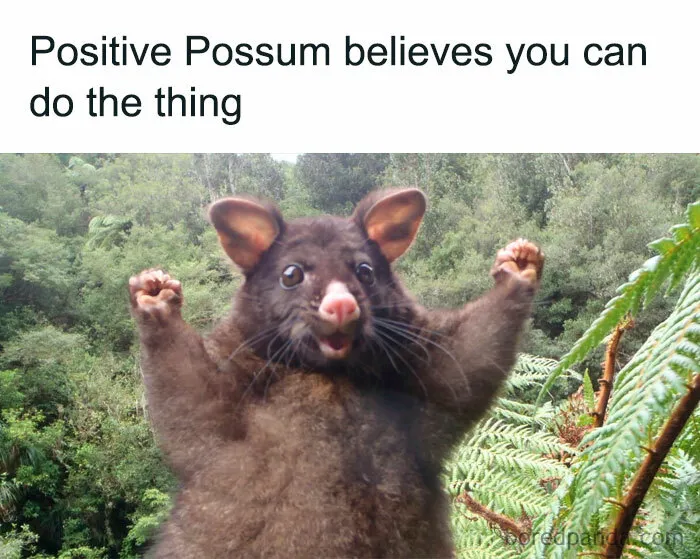 ”Positive Possum Believes in You!”