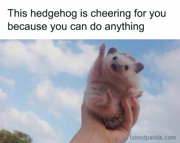  Hedgehog Cheerleader