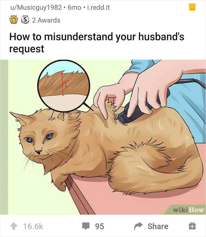 50 Hilarious Out-Of-Context Captions For WikiHow Images (Best Of All Time)