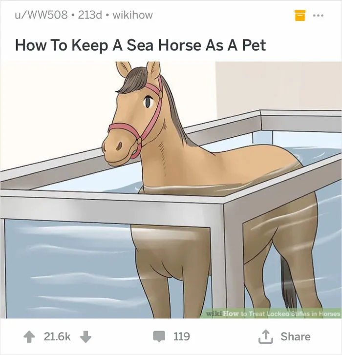 50 Hilarious Out-Of-Context Captions For WikiHow Images (Best Of All Time)