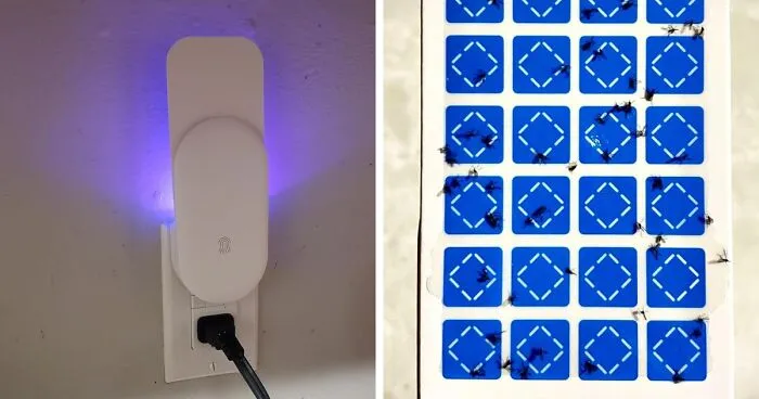 Amazon Just Dropped These 20 New Products, And We're Obsessed