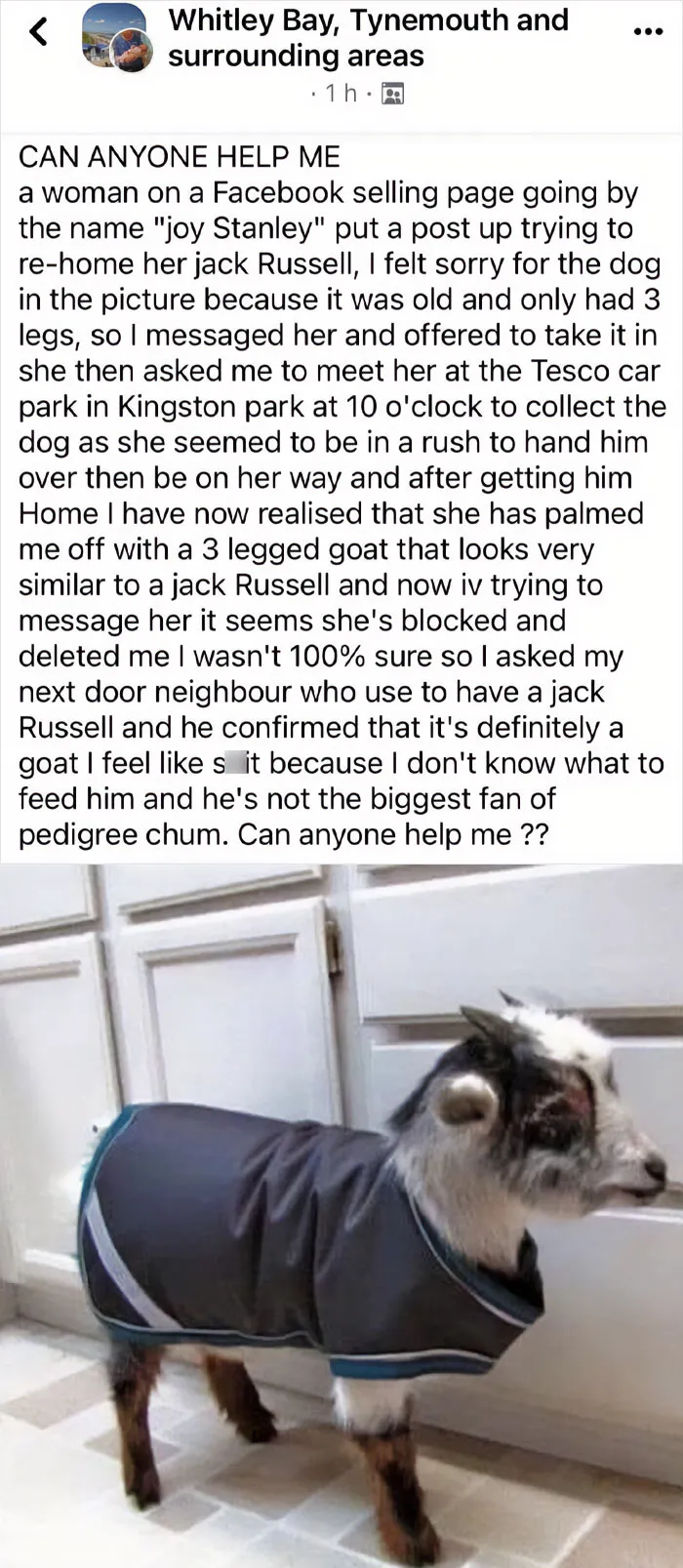 Could This Post Be The Greatest Of All Time?