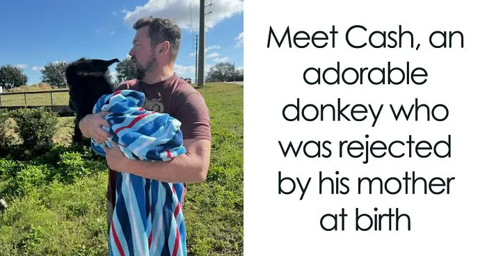 This Couple Rescued A Donkey From His Violent Mom And Now He Lives As A Beloved House Pet