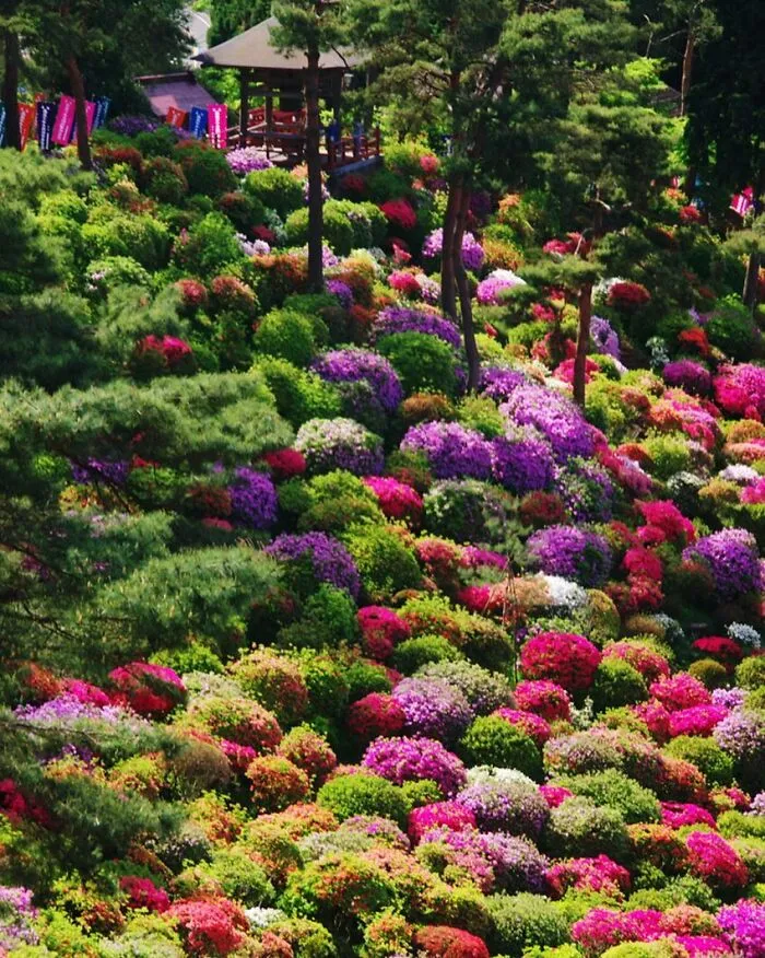 30 Heavenly Photos Of Gardens That Were Shared By This Instagram Account
