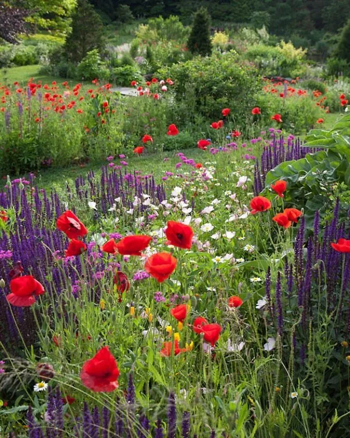30 Heavenly Photos Of Gardens That Were Shared By This Instagram Account