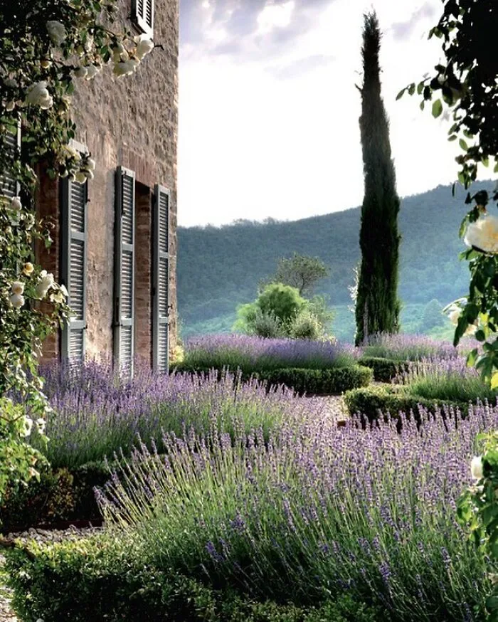 30 Heavenly Photos Of Gardens That Were Shared By This Instagram Account