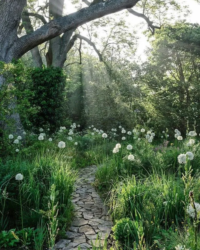 30 Heavenly Photos Of Gardens That Were Shared By This Instagram Account