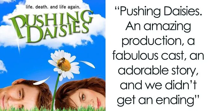 30 TV Series That Were Canceled Too Soon Without Giving Closure To Their Fans