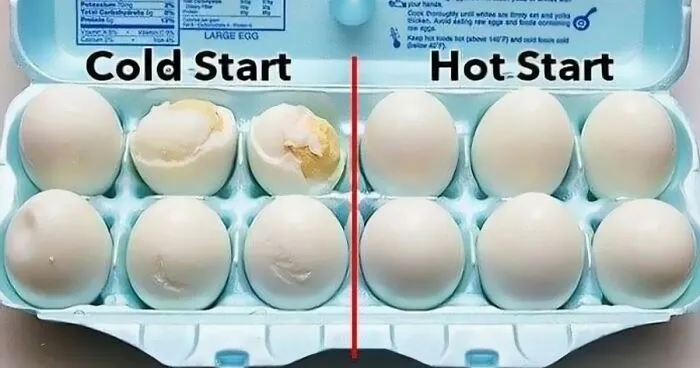 50 Informative Diagrams And Charts That Might Change The Way You Look At Food (New Pics)