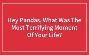 Hey Pandas, What Was The Most Terrifying Moment Of Your Life?