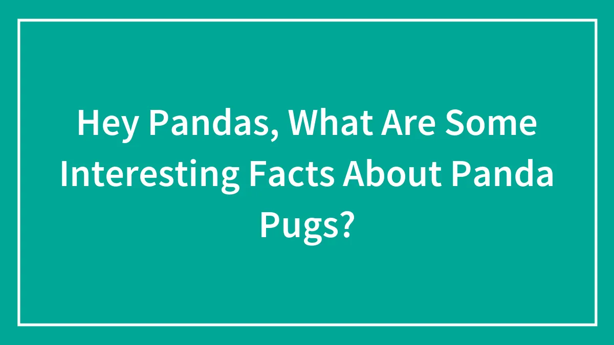 Hey Pandas, What Are Some Interesting Facts About Panda Pugs? (Closed)