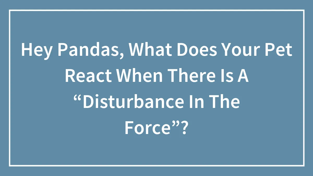 Hey Pandas, What Does Your Pet React When There Is A “Disturbance In The Force”? (Closed)