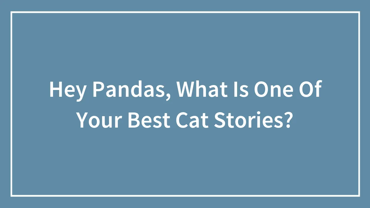 Hey Pandas, What Is One Of Your Best Cat Stories? (Closed)