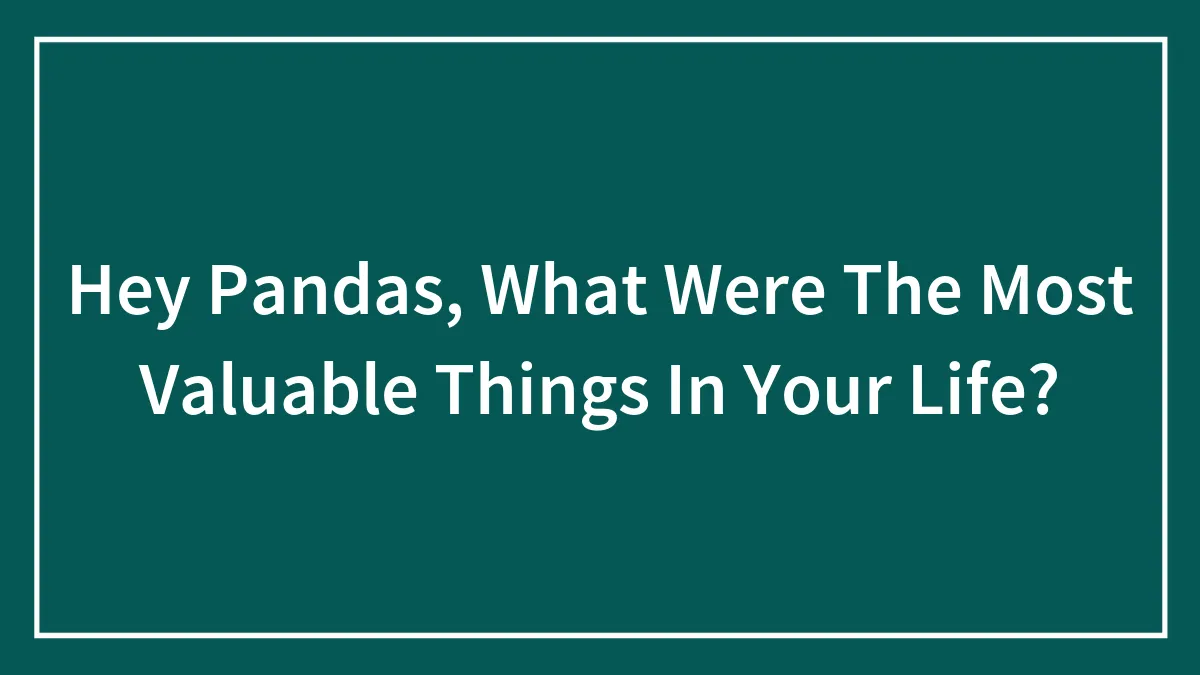 Hey Pandas, What Were The Most Valuable Things In Your Life? (Closed)