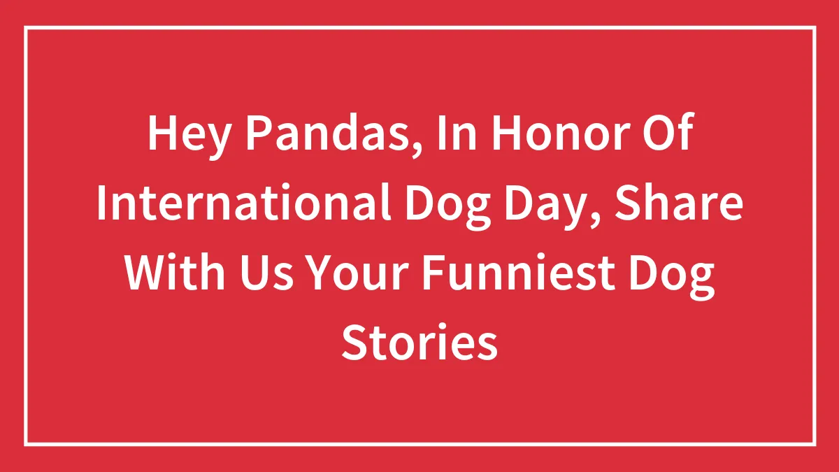 Hey Pandas, In Honor Of International Dog Day, Share With Us Your Funniest Dog Stories (Closed)