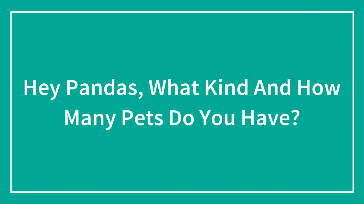 Hey Pandas, What Kind And How Many Pets Do You Have? (Closed)