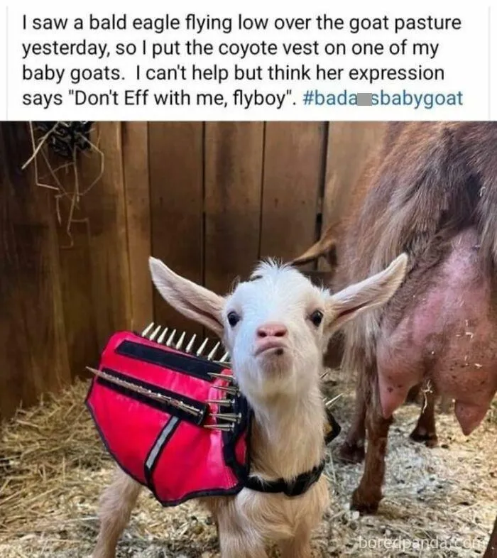 50 Heartwarming Posts To Combat The Negativity Of The World