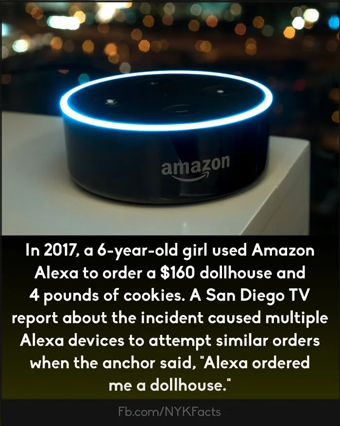 ‘Now You Know’: 50 Random Facts That Are Too Interesting To Scroll Past