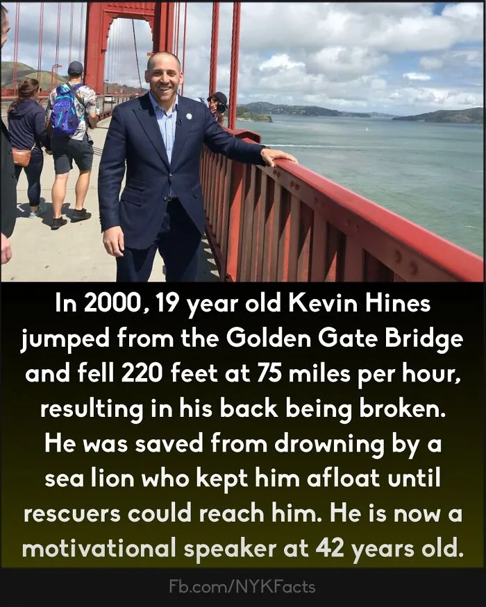 ‘Now You Know’: 50 Random Facts That Are Too Interesting To Scroll Past