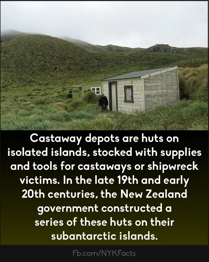 ‘Now You Know’: 50 Random Facts That Are Too Interesting To Scroll Past