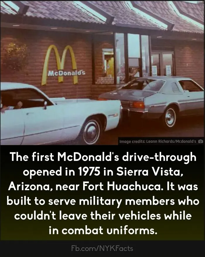 ‘Now You Know’: 50 Random Facts That Are Too Interesting To Scroll Past