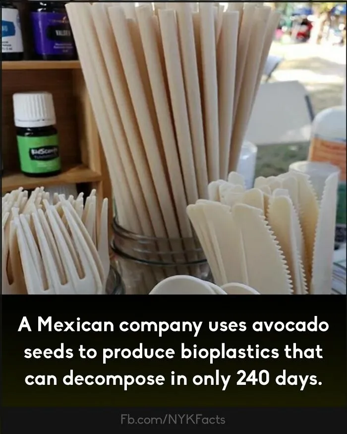 ‘Now You Know’: 50 Random Facts That Are Too Interesting To Scroll Past
