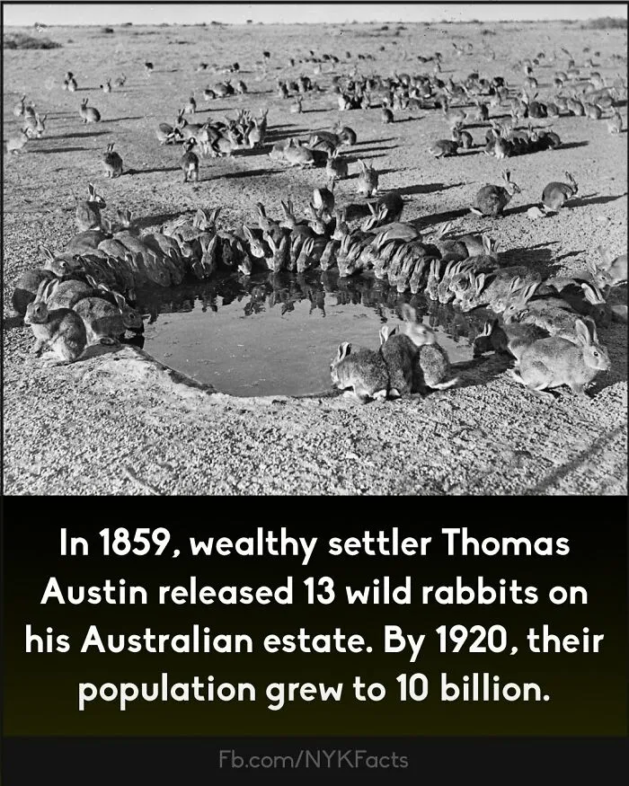 ‘Now You Know’: 50 Random Facts That Are Too Interesting To Scroll Past