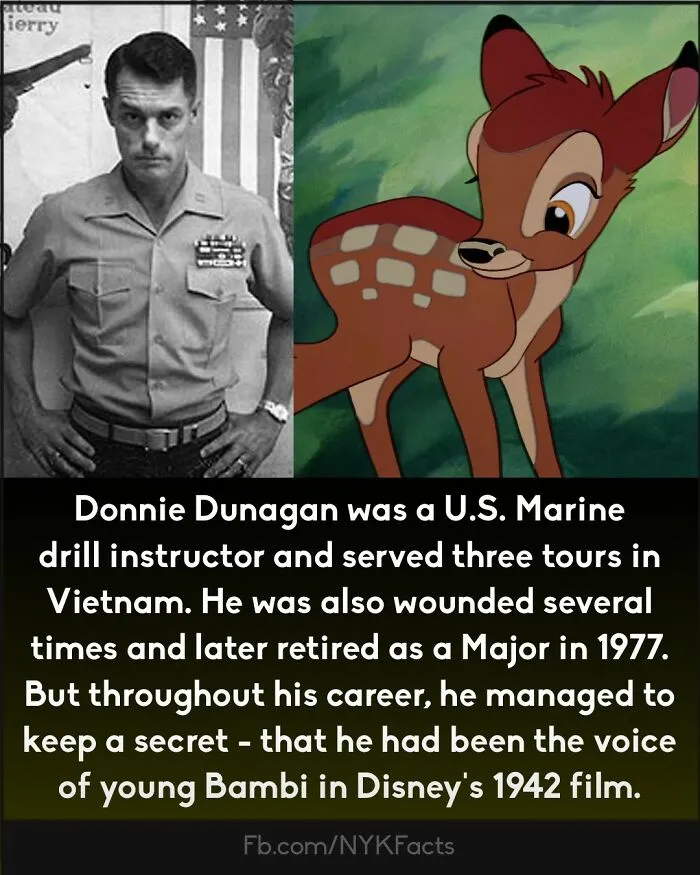 ‘Now You Know’: 50 Random Facts That Are Too Interesting To Scroll Past