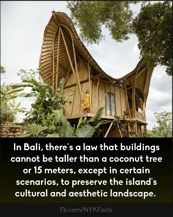 ‘Now You Know’: 50 Random Facts That Are Too Interesting To Scroll Past