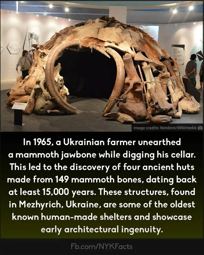 ‘Now You Know’: 50 Random Facts That Are Too Interesting To Scroll Past