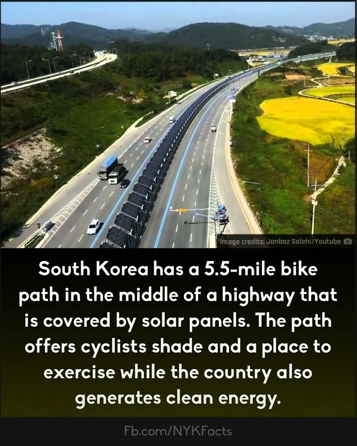 ‘Now You Know’: 50 Random Facts That Are Too Interesting To Scroll Past