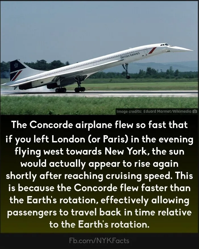 ‘Now You Know’: 50 Random Facts That Are Too Interesting To Scroll Past