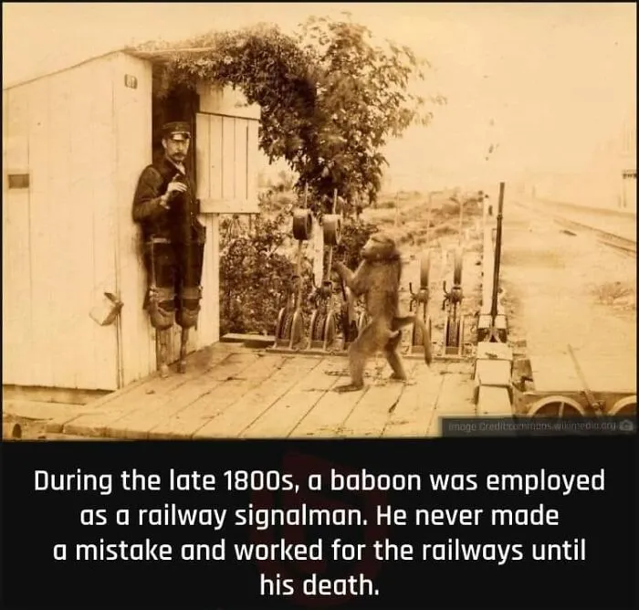 ‘Now You Know’: 50 Random Facts That Are Too Interesting To Scroll Past