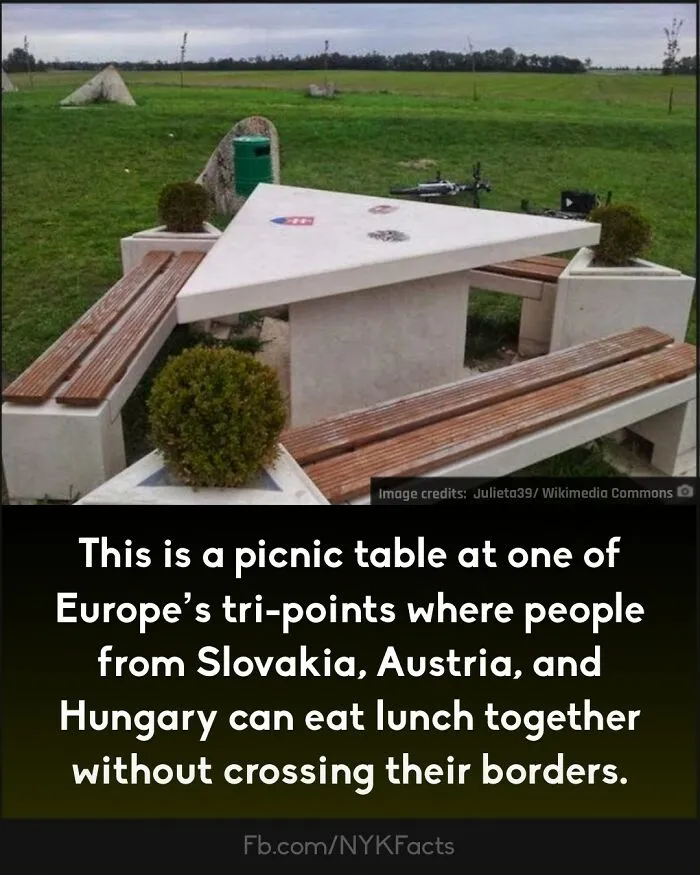 ‘Now You Know’: 50 Random Facts That Are Too Interesting To Scroll Past