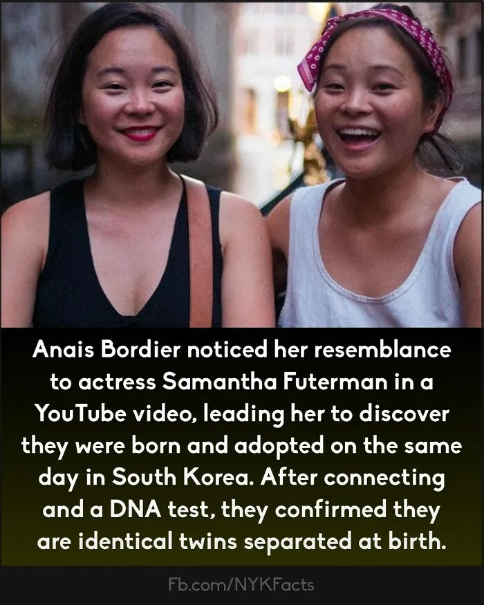 ‘Now You Know’: 50 Random Facts That Are Too Interesting To Scroll Past