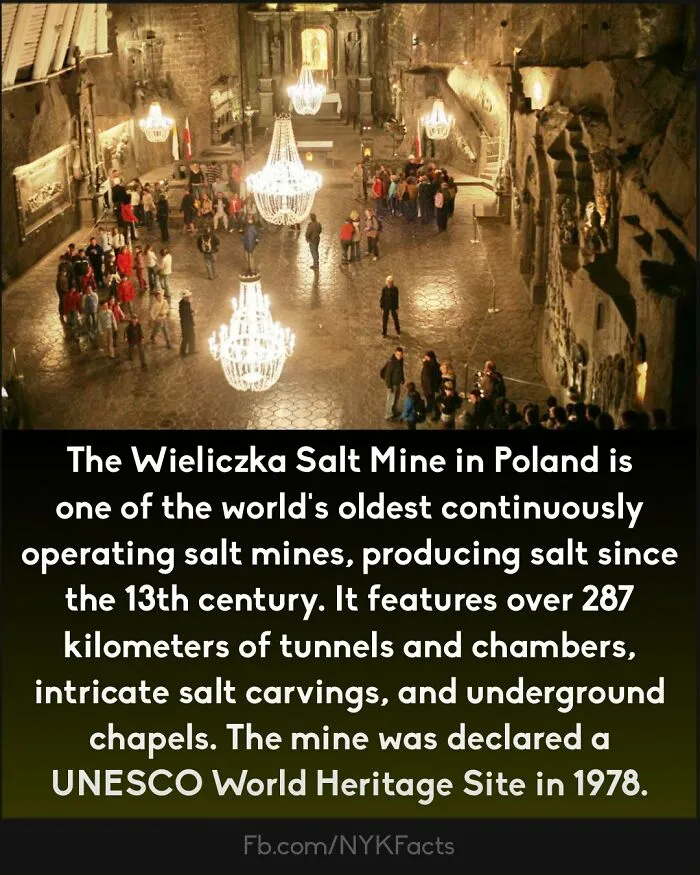 ‘Now You Know’: 50 Random Facts That Are Too Interesting To Scroll Past