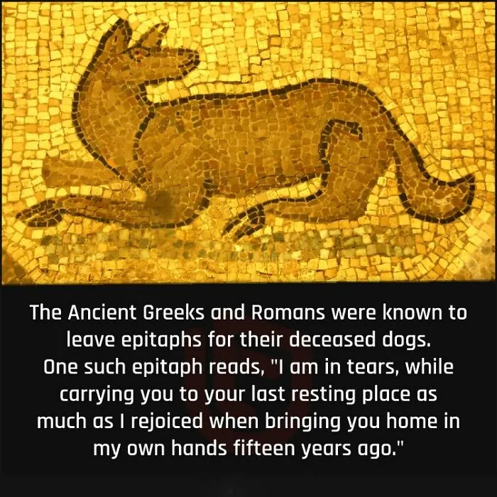 ‘Now You Know’: 50 Random Facts That Are Too Interesting To Scroll Past
