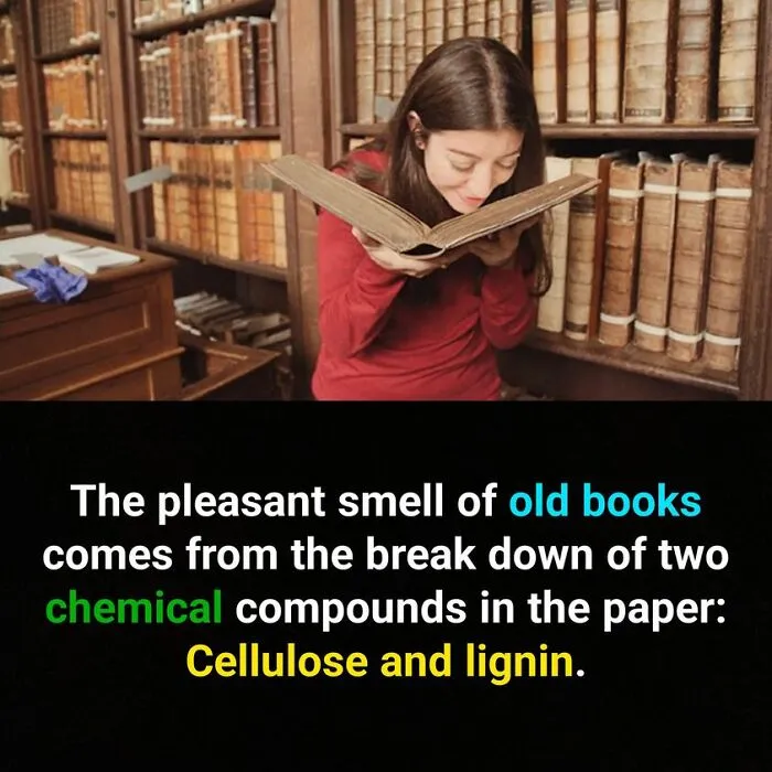 ‘Now You Know’: 50 Random Facts That Are Too Interesting To Scroll Past
