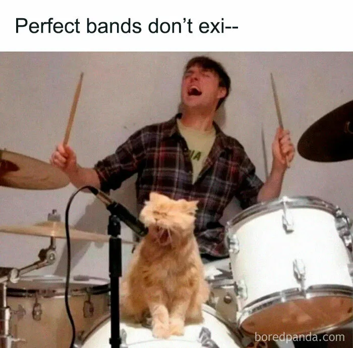 50 Times Cats Proved They’re The Masters Of Meme-Full Moments, As Seen On This IG Page