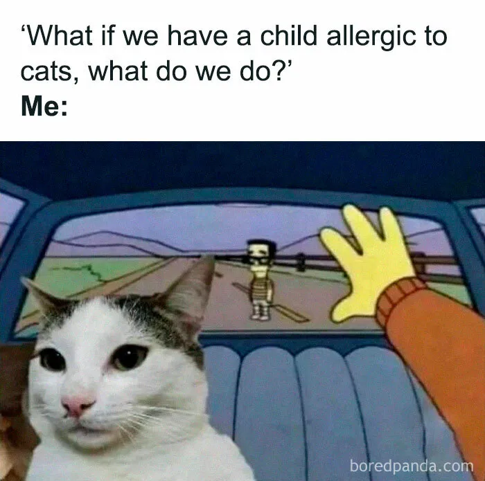 50 Times Cats Proved They’re The Masters Of Meme-Full Moments, As Seen On This IG Page