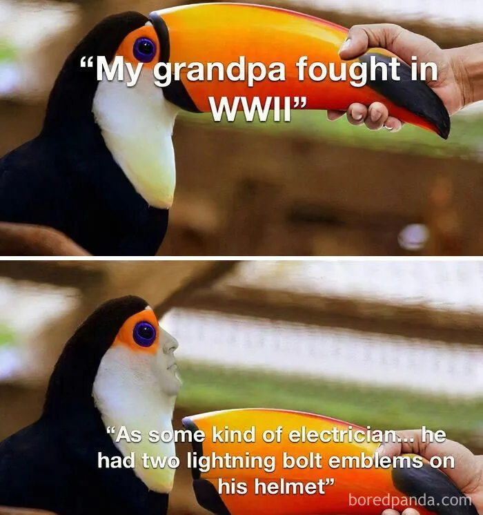 50 Funny And Spot-On “Dark History” Memes