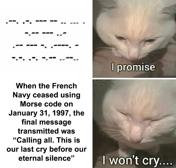 50 Funny And Spot-On “Dark History” Memes