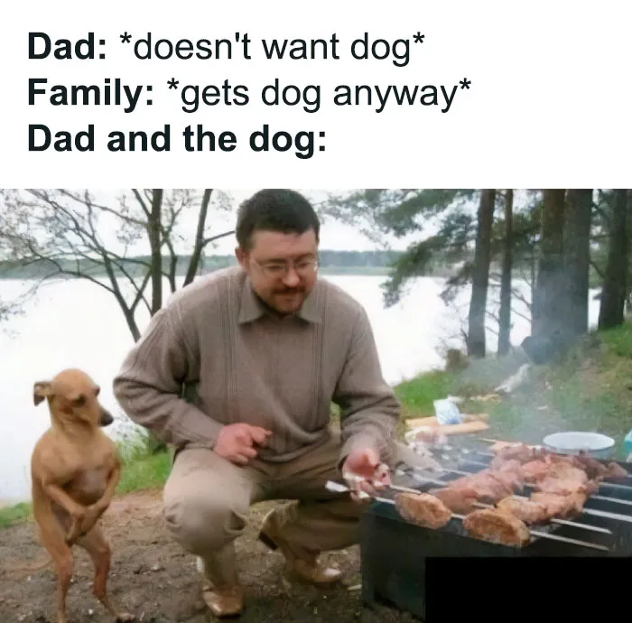 Man grilling meat outdoors with a dog standing beside him, depicting a funny dog meme.