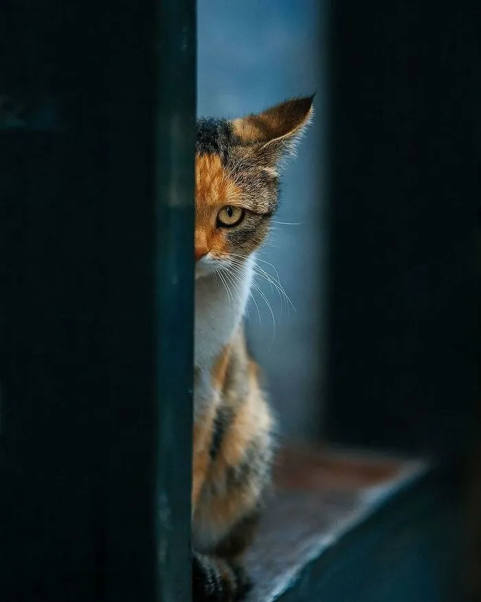Here Are 40 Of The Most Interesting Images Selected By This Instagram Page (New Pics)