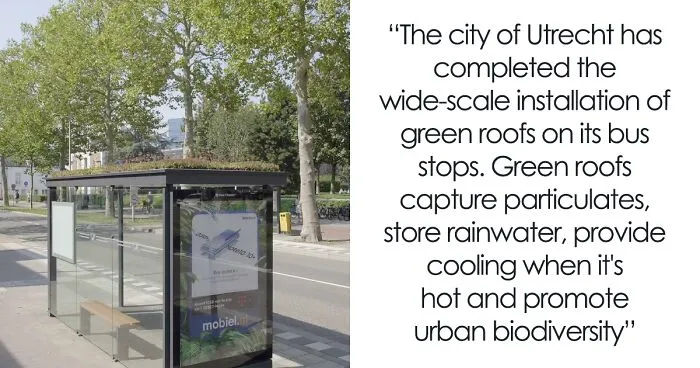 People Online Are Amazed By Dutch City That Recently Installed Over 300 Green-Roofed Bus Stops