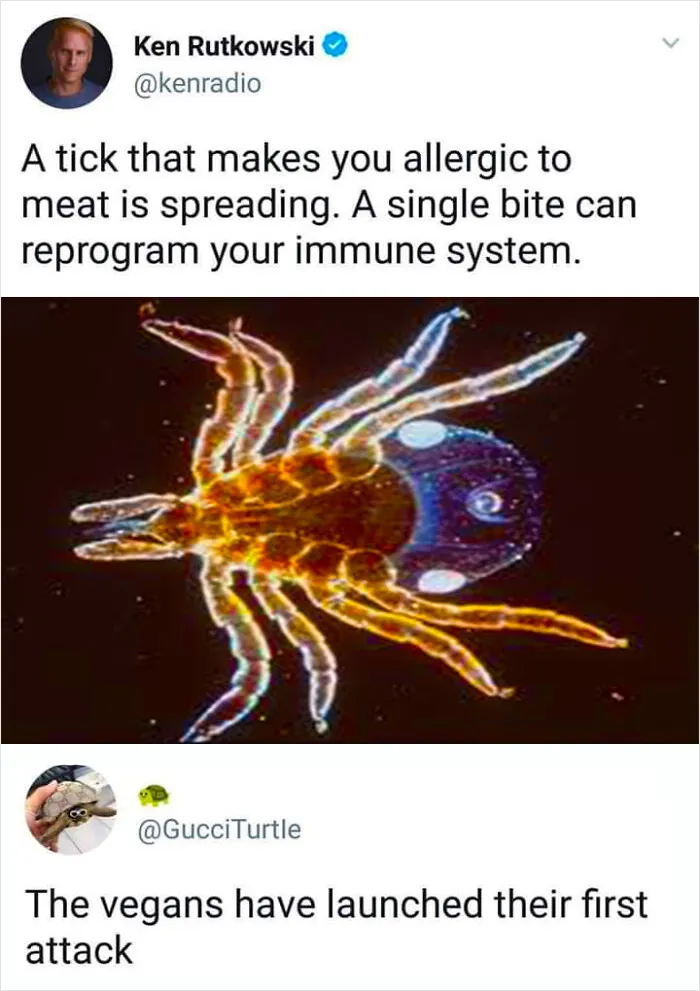 50 Times Comments Were Better Than The Post And Ended Up On The 'Epic Top Comments' Page