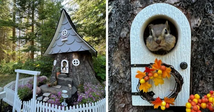 I Made A Tree Stump House